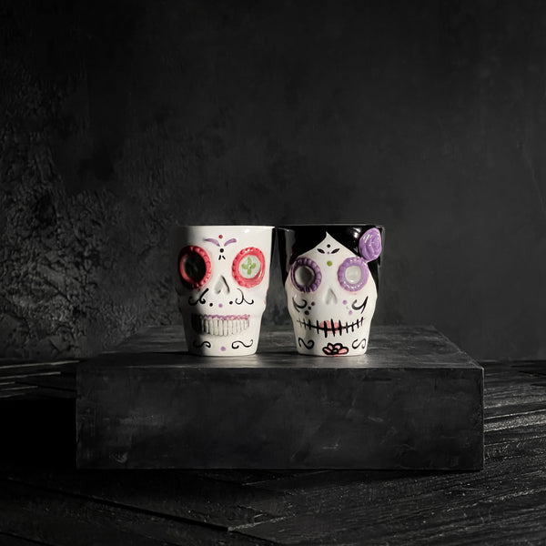 Sugar Skull Shot Glass Day of the Dead Skull Shot Glass Set Halloween Decor California Englished x one Hundred 80 Degrees