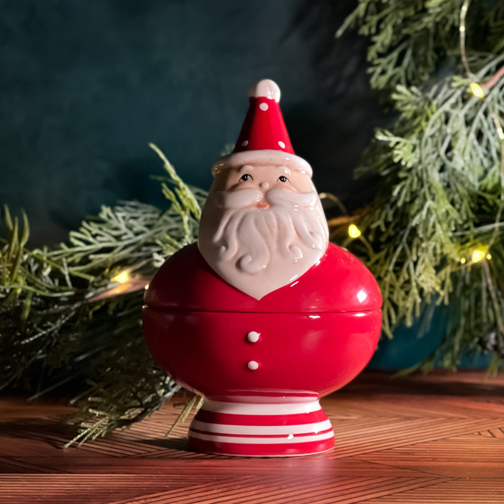 DII Sponges: Classic Christmas Santa