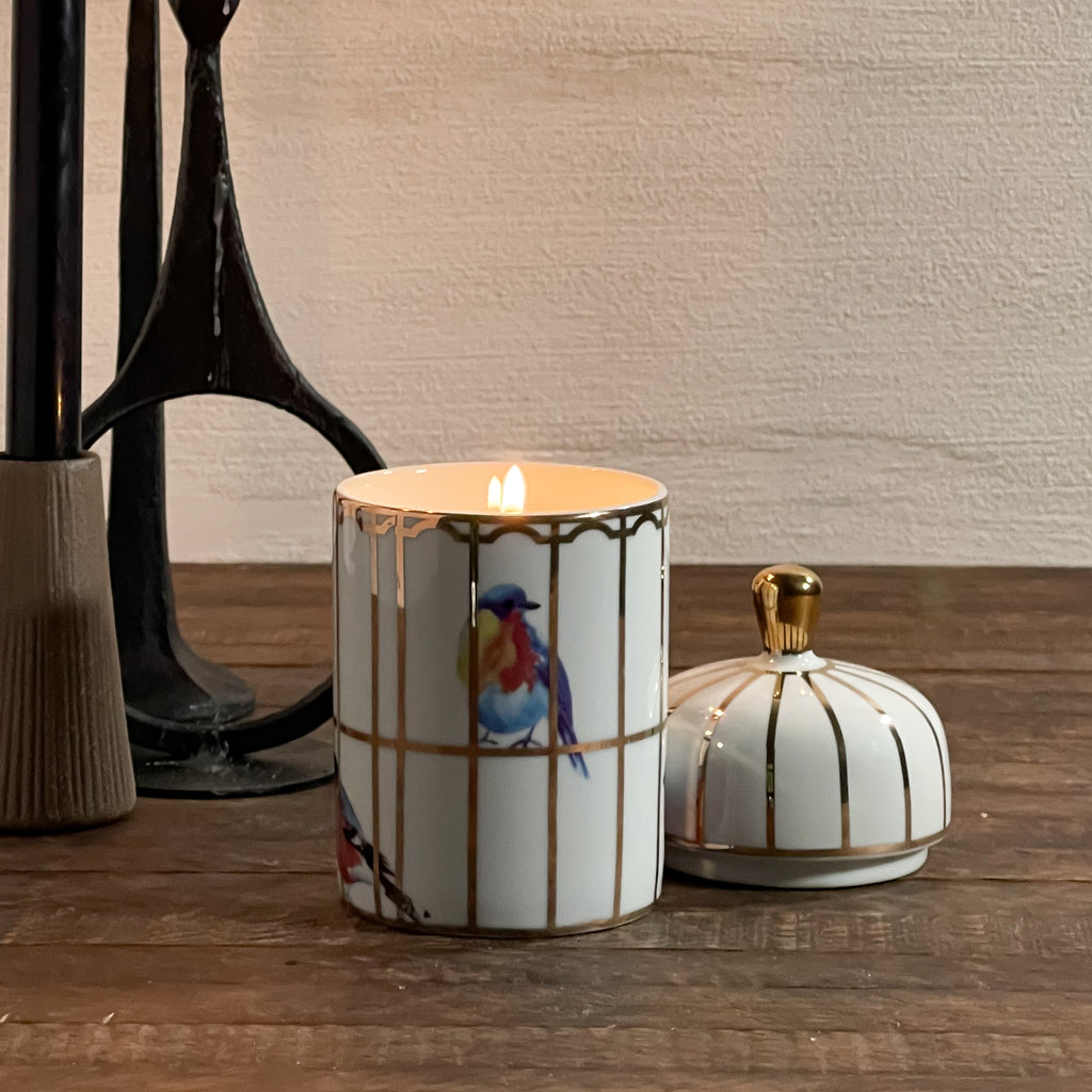Inspired by Molly Hatch Anthropologie Birdhouse Collection Our Songbird Gilded Palace Candle by Molly Hatch California Englished